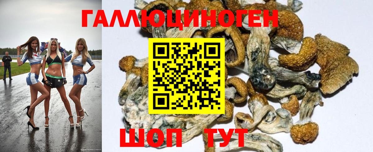 Галлюциногенные грибы MAGIC MUSHROOMS Димитровград